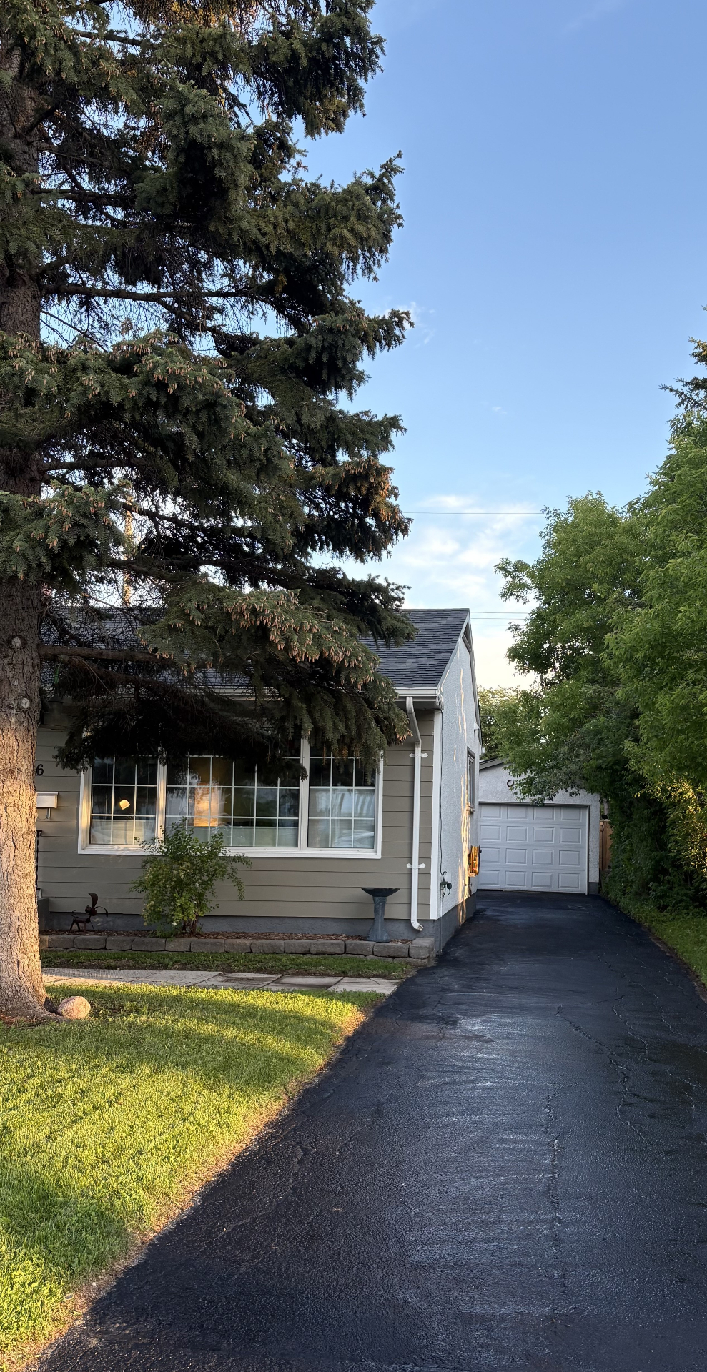 Freshly sealcoated driveway with deep black finish